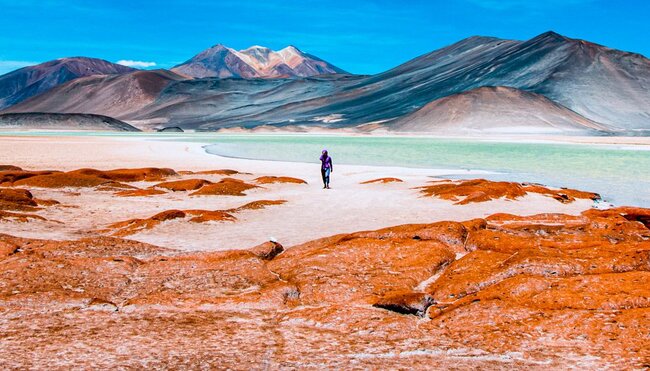 Frau am Salzsee in der Atacama W?ste