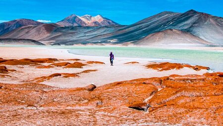 Frau am Salzsee in der Atacama W?ste