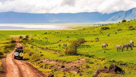 Safari im Ngorongoro-Krater