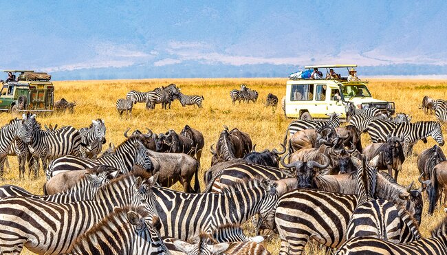 Kundenbilder Tansania-Reise Serengeti