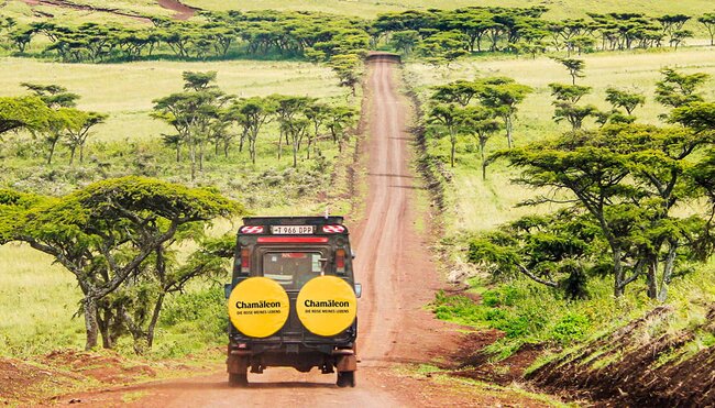 Fahrt durch den Ngorongoro-Krater