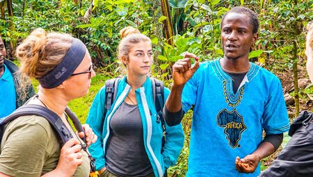 Besuch der Kaffe-Farm