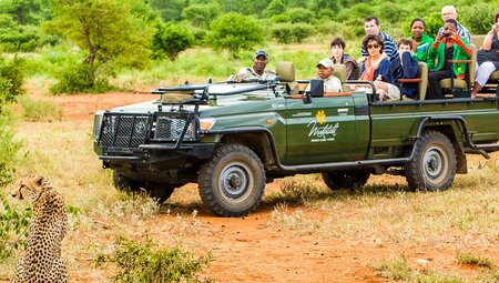 Reisegruppe beobachtet einen Geparden