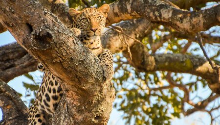 Einfach mal abhängen