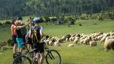 Trekkingrad Albanien - Im Land der Skipetaren