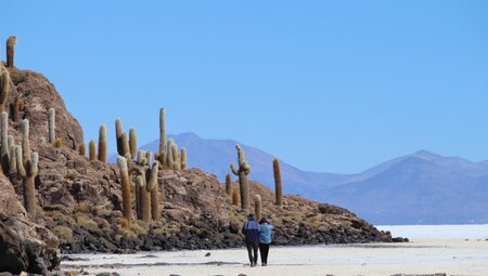 Bolivien - Zwischen Salzwüste und Königskordillere
