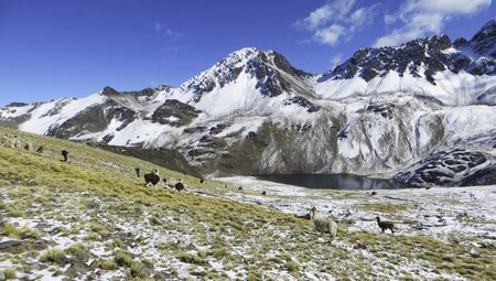 Trekking Koenigskordillere 