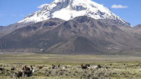 Bolivien - Vulkane mit Ski: Huayna Potosi, 6.088 m und Parinacota, 6.348 m