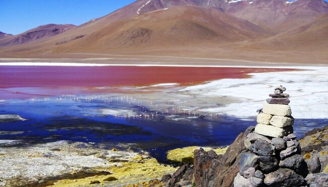 Laguna Colorada im Atliplano