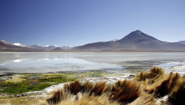 Hochlandlagune Atacamawüste ChileHochland Lagune Atacama Chile 2