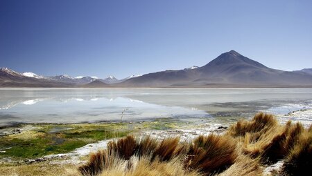 Hochlandlagune Atacamawüste ChileHochland Lagune Atacama Chile 2
