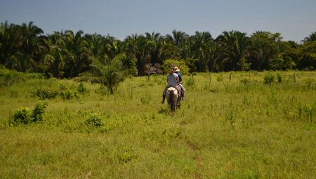 Kolumbien - Los Llanos (Reiseverlängerung)