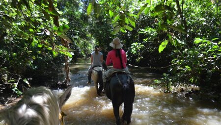 Kolumbien - Los Llanos (Reiseverlängerung)