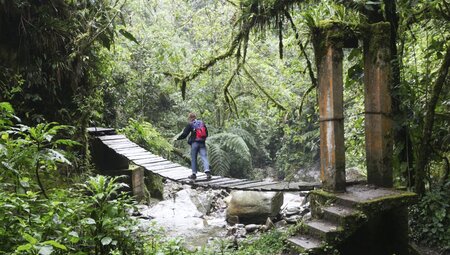 Cocora Tal