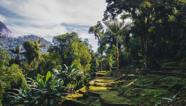 Terrassen der Verlorenen Stadt Ciudad Perdida