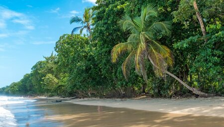 Costa Rica – Grünes Herz der Karibik (Selfguided)