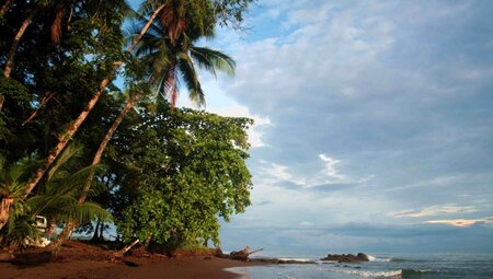 CostaRicaSüdpazifikStrand