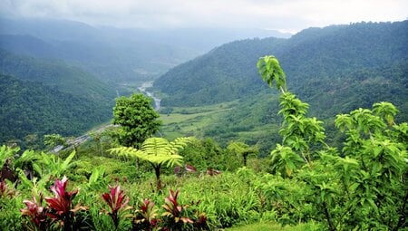 MTB Costa Rica - Pura Vida, Vulkane und Urwald