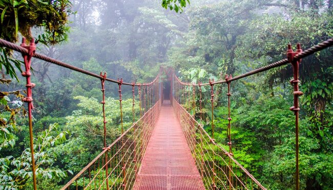 Costa Rica  Brücke im Regenwald
