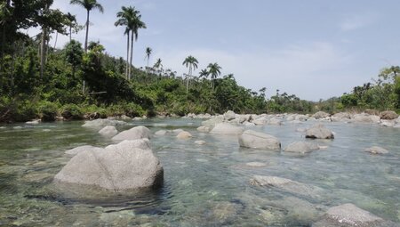 Rio Duaba am Fuße des El Yunque
