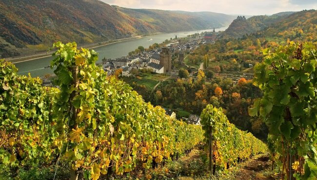Blick auf Oberwesel