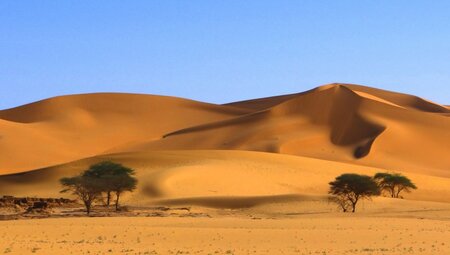 Algerien - Rendezvous mit der Sahara
