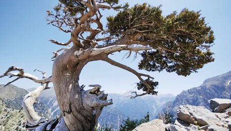 Kreta – Weiße Berge & Samaria-Schlucht