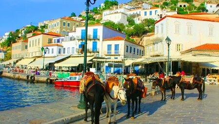 Griechische Inseln – Inselhopping aktiv auf Poros und Hydra