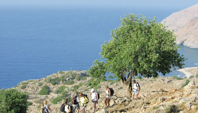 Griechenland - Inselperlen vor Athens Haustür (Selfguided)