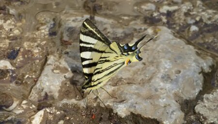 Griechenland – Zagoria Trek & Vikos Schlucht