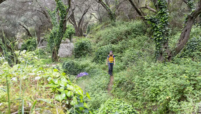 Korfu – Wandern auf dem Korfu Trail