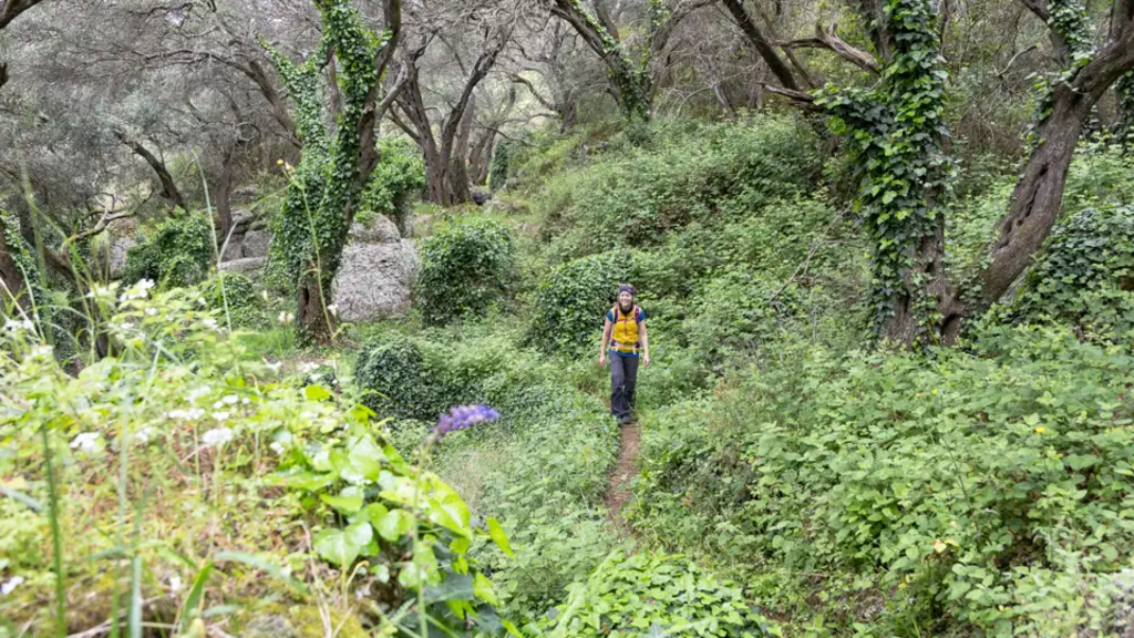 Korfu – Wandern auf dem Korfu Trail