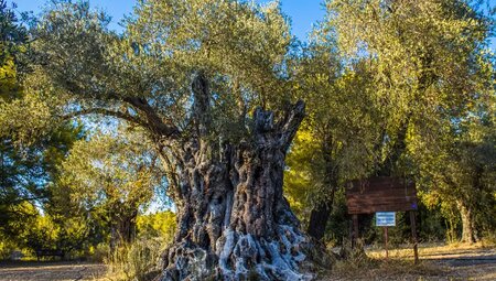 Nordzypern – Wandern am Rande Europas