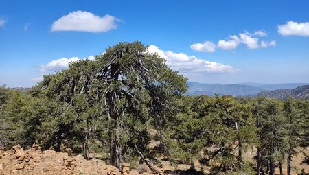Zypern – Troodos-Gebirge und Mittelmeer