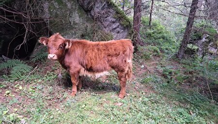 Südtirol – Meraner Höhenweg um die Texelgruppe