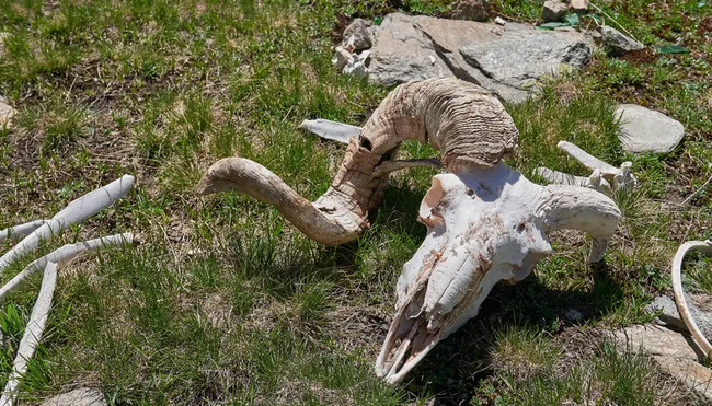 Piemont – Wandern im Valle Stura