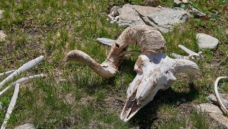 Piemont – Wandern im Valle Stura