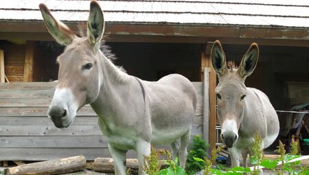 Piemont – Wandern im Valle Stura