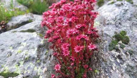 Piemont – Wandern im Valle Stura