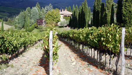 Piemont – Langhe: Trekking durch die Weinberge