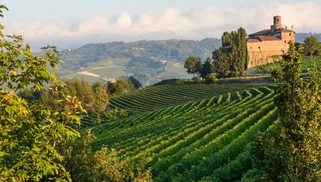 Piemont – Langhe: Trekking durch die Weinberge
