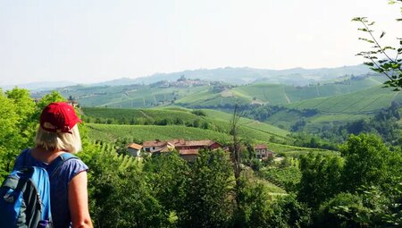 Piemont – Langhe: Trekking durch die Weinberge