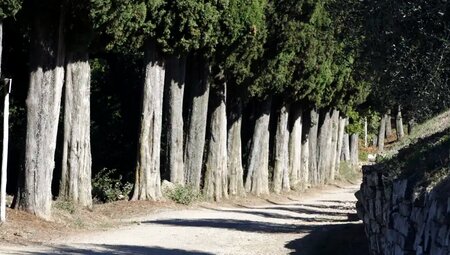 Toskana – Pilgerweg Via Francigena