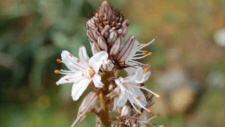 Sardinien – Südwesten & Sant'Antioco zu Fuß erkunden
