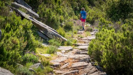 Elba – Große Inselüberquerung auf dem GTE
