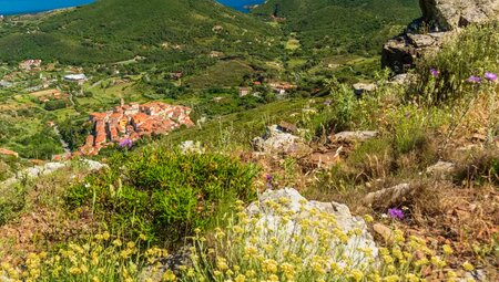 Elba – Große Inselüberquerung auf dem GTE