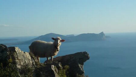 Sardinien – Große Inselumrundung