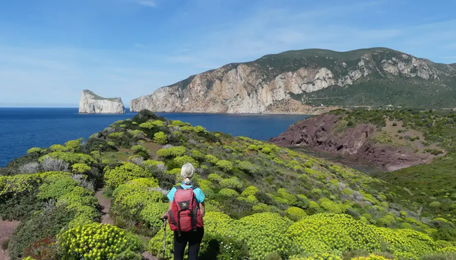Sardinien – Große Inselumrundung