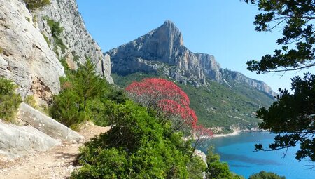 Sardinien – Zu Fuß auf alten Hirtenpfaden