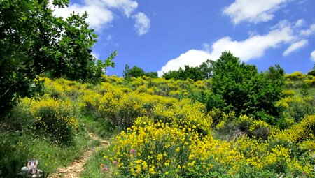 Italien – Trekking von Assisi nach Rom